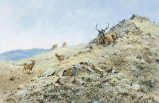 George Edward Lodge - Afternoon sunshine, Killilan