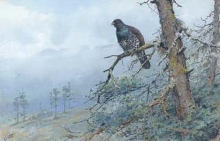 George Edward Lodge - Capercaillie