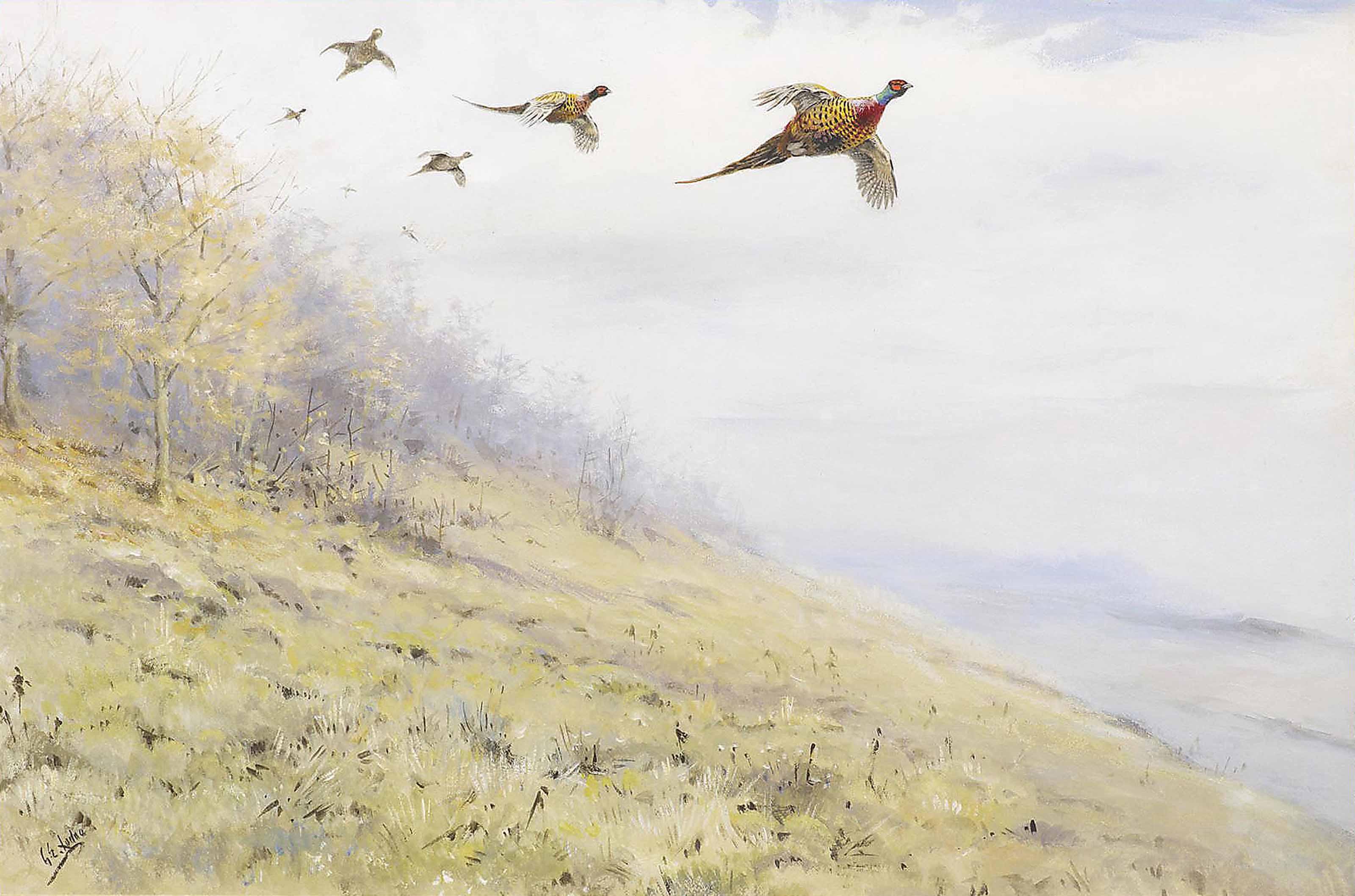 George Edward Lodge - Driven pheasant