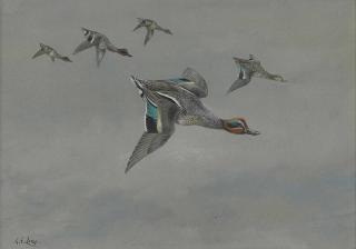 George Edward Lodge - Five teal flighting
