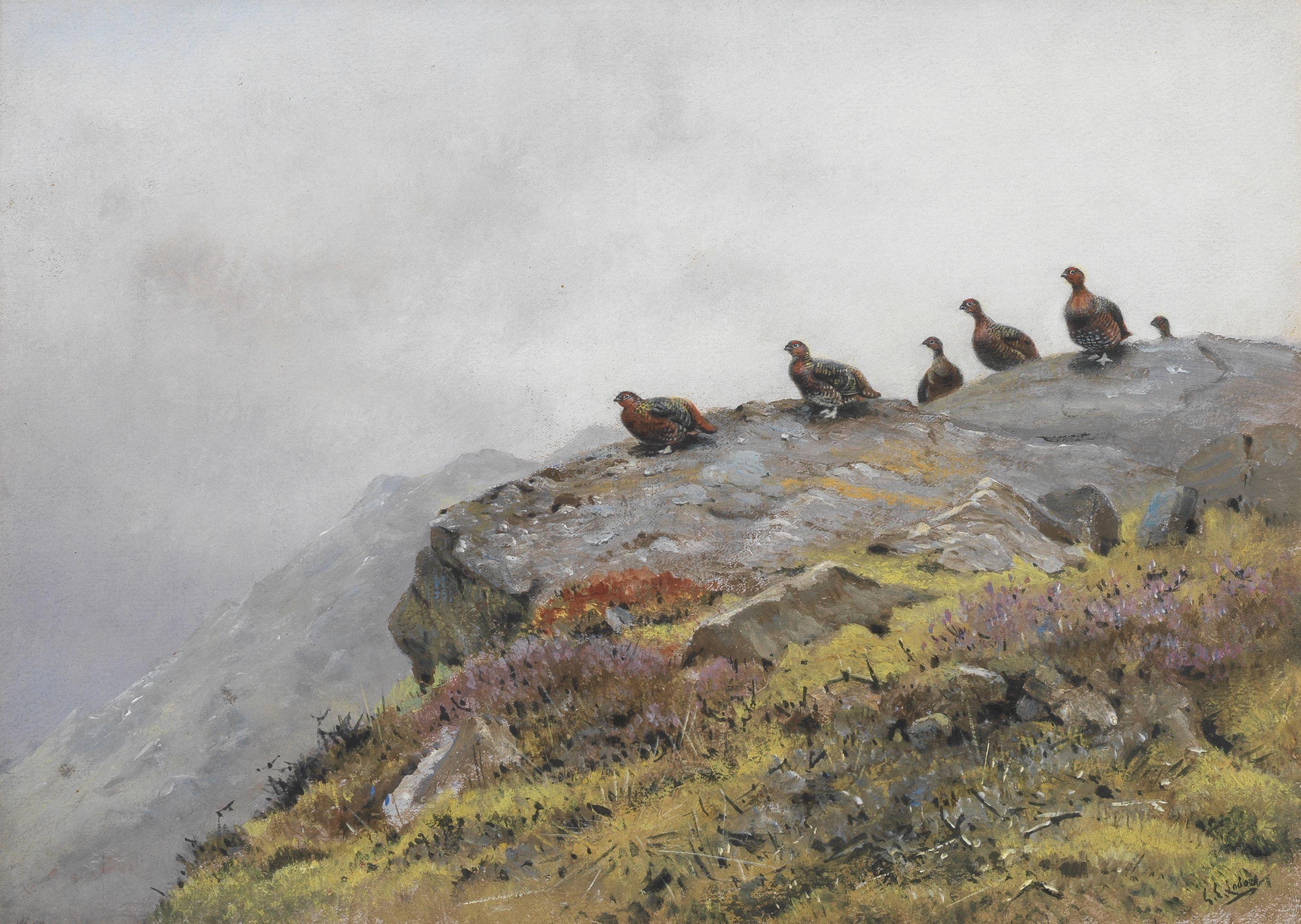 George Edward Lodge - Grouse on a rocky outcrop