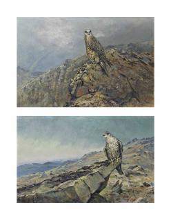 George Edward Lodge - Gyr Falcon On A Rocky Crag; And Gyr Falcon With A Rainbow Beyond