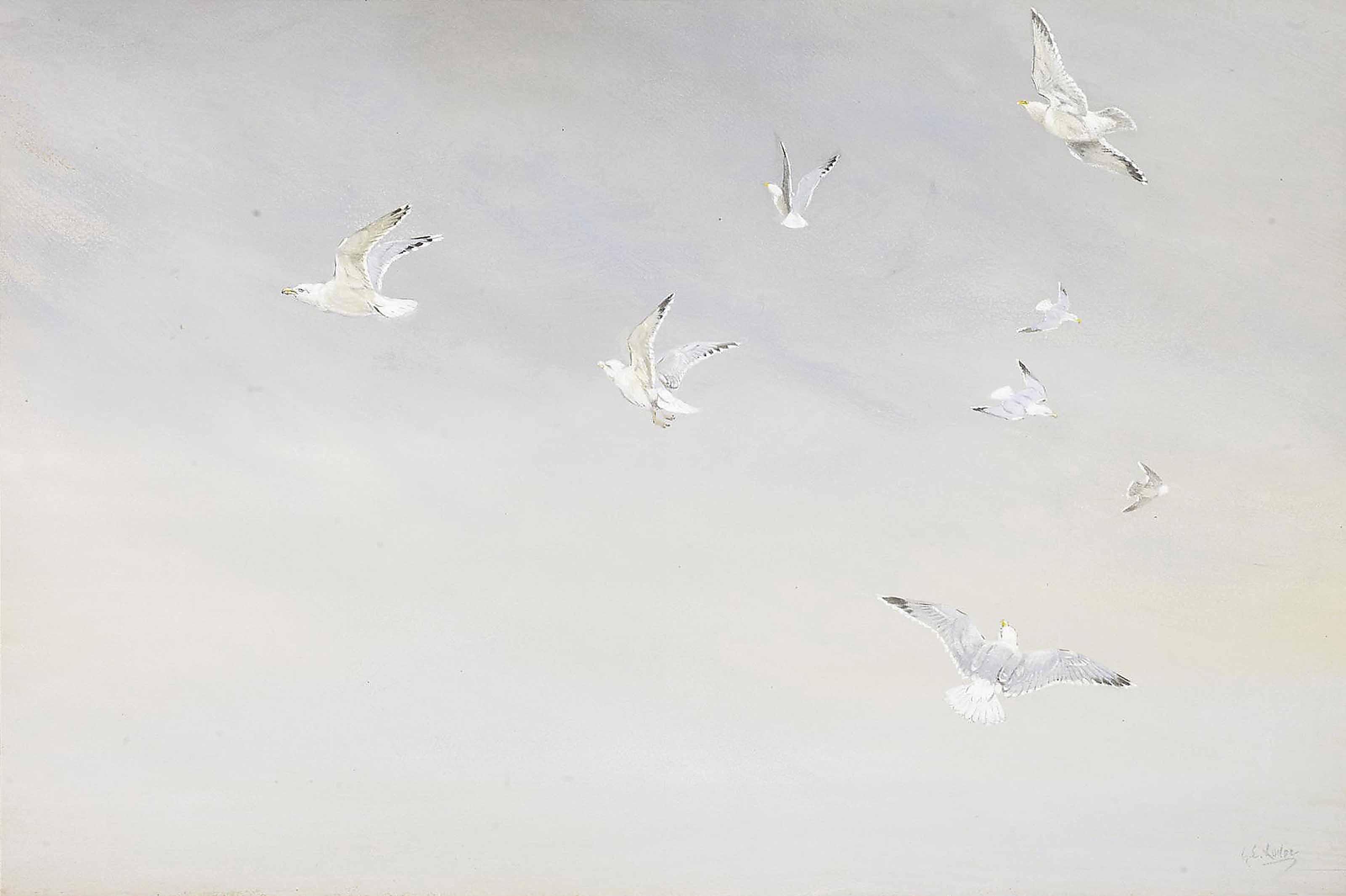 George Edward Lodge - Herring gulls struggling against a heavy wind