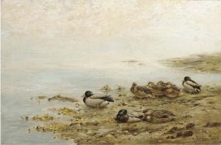 George Edward Lodge - Mallards at the water\'s edge