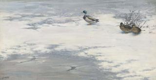 George Edward Lodge - Mallards on a frozen river (illustrated); Eider ducks and mallards by the coast ; and Three swans at the water\'s edge