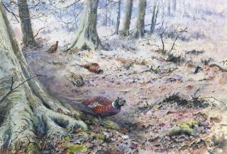 George Edward Lodge - Pheasant in a wood