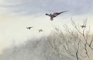 George Edward Lodge - Pheasants In Flight