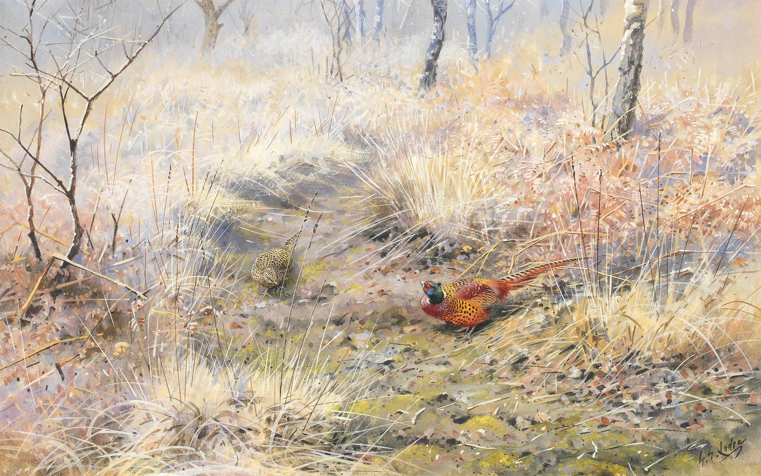 George Edward Lodge - Pheasants in woodland