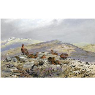 George Edward Lodge - Red Grouse On A Hilltop