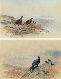 George Edward Lodge - Red grouse on a rocky hillside; and Blackcock on a rocky outcrop