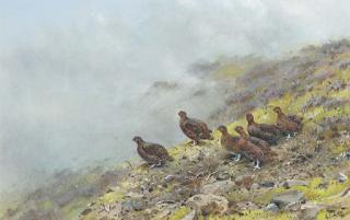 George Edward Lodge - Red Grouse on a Scottish moor