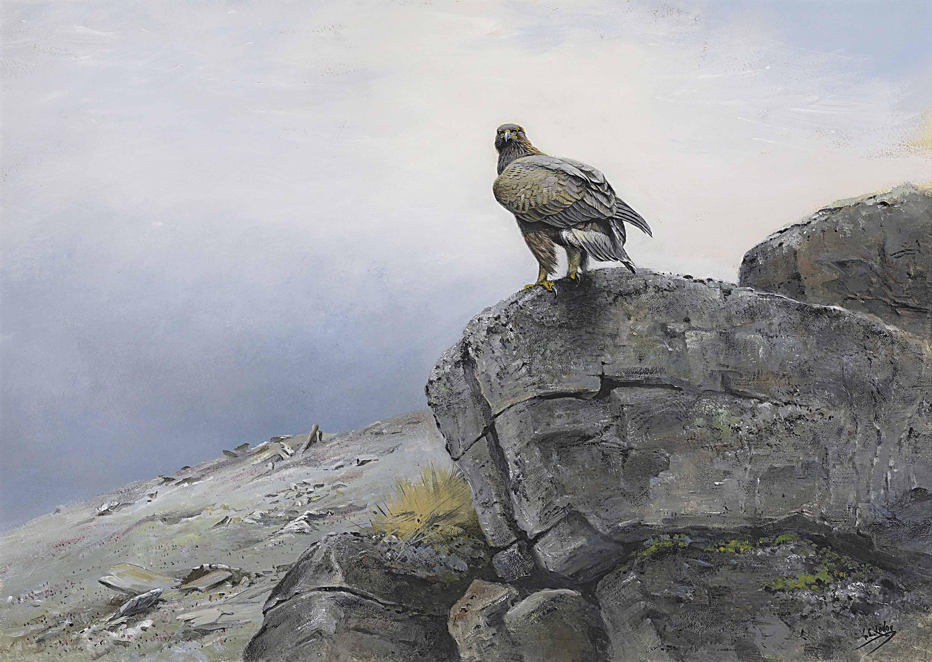 George Edward Lodge - Spy Rock: A Golden Eagle On A Rocky Outcrop