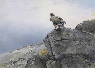 George Edward Lodge - Spy Rock: A Golden Eagle On A Rocky Outcrop