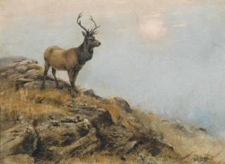 George Edward Lodge - Stag, early morning