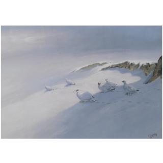 George Edward Lodge - Winter Ptarmigan