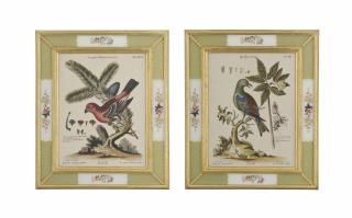 George Edwards - Twelve Hand-Coloured Engravings From \'A Natural History Of Uncommon Birds\'