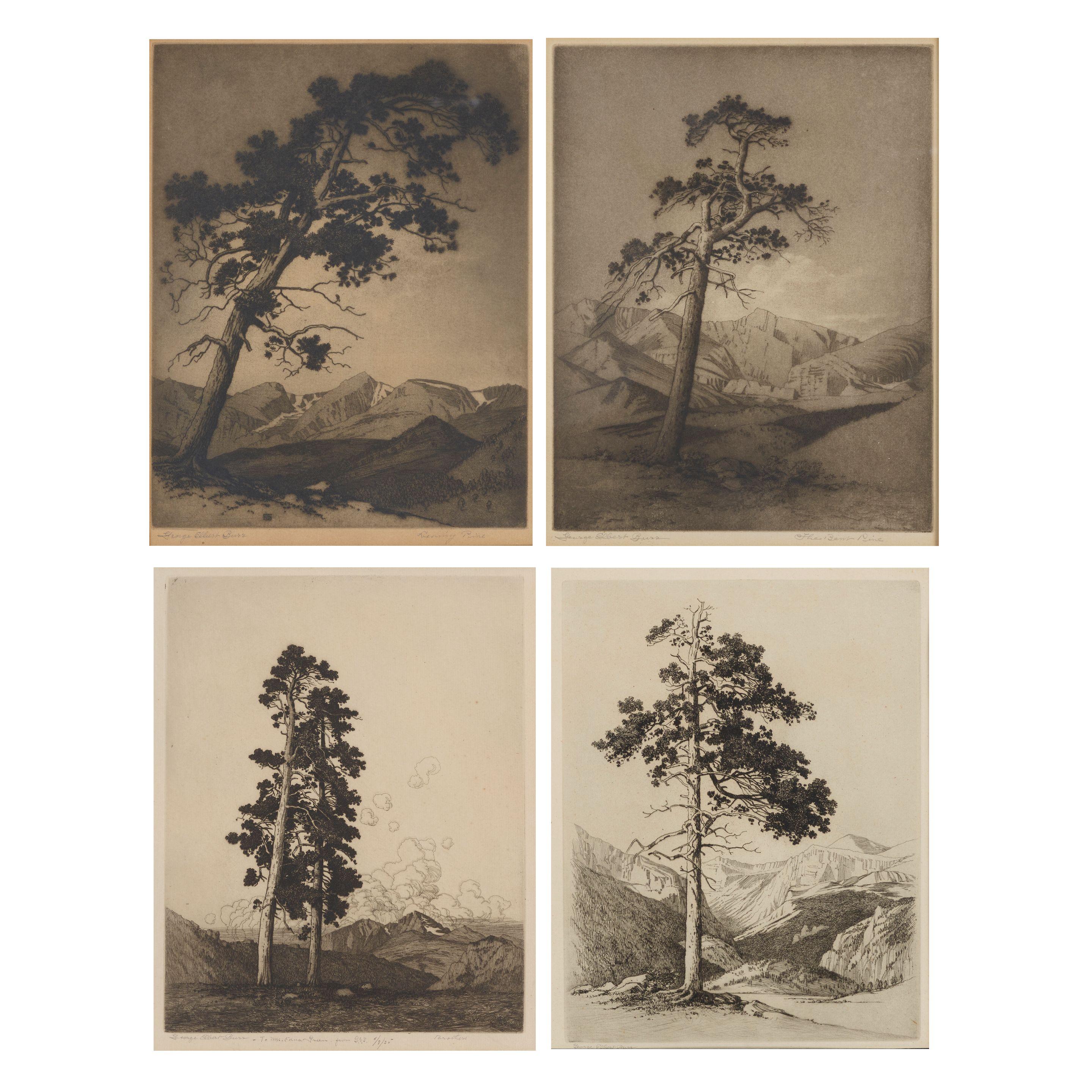 George Elbert Burr - Four Plates, from Mountain Moods 4