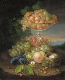 George Forster - Still Life With Fruit, Nest Of Eggs And Insects