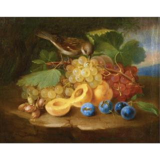George Forster - Still Life With Fruits And Birds