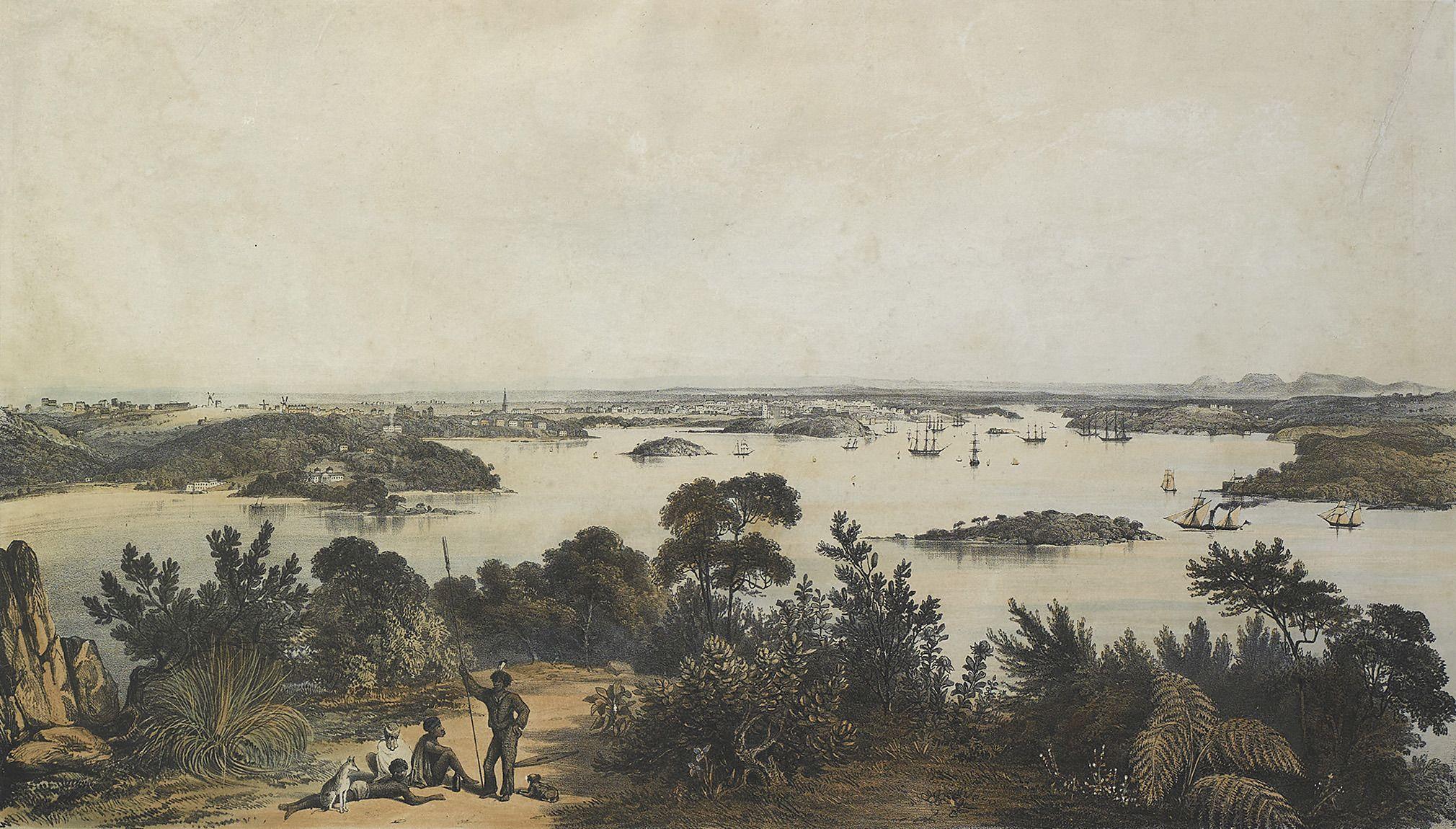 George French Angas - The City and Harbour of Sydney from Near Vaucluse