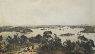 George French Angas - The City and Harbour of Sydney from Near Vaucluse