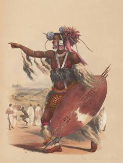 George French Angas - Unknown