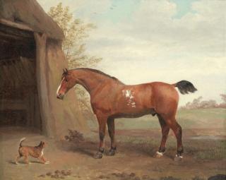 George Garrard - A Bay Cob And Terrier By A Stable