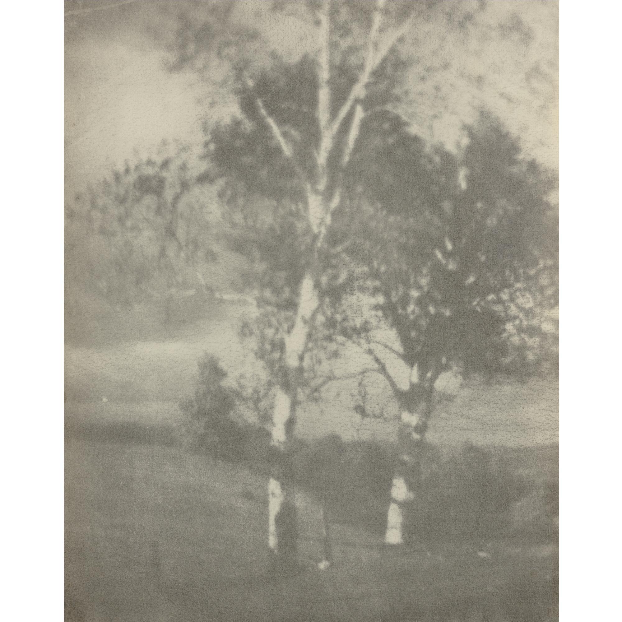 George H. Seeley - Birch Trees