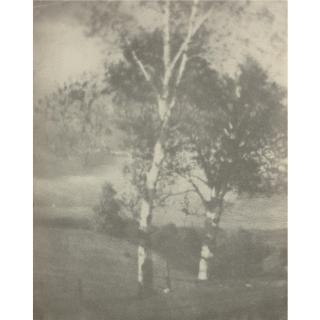 George H. Seeley - Birch Trees