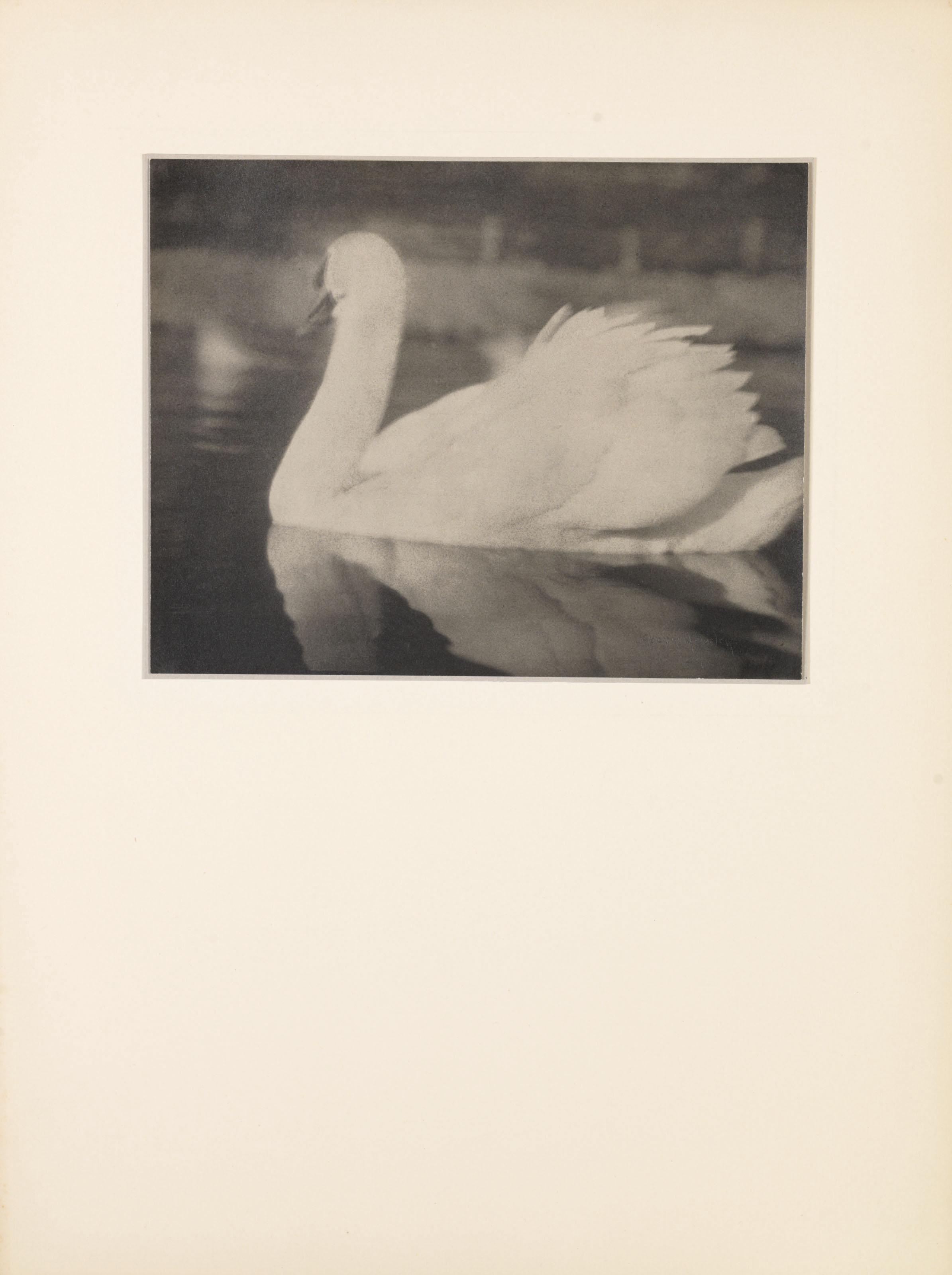 George H. Seeley - The Swan, 1927