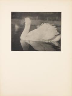 George H. Seeley - The Swan, 1927