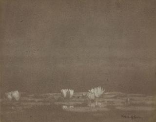 George H. Seeley - Water Lilies, C. 1915