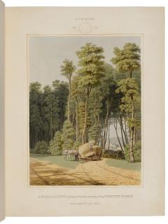 George Harvey - Scenes Of The Primitive Forest Of America