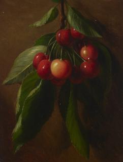 George Henry Hall - Cherries on a Branch