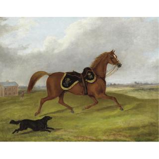 George Henry Laporte - Charger From The 5Th Irish Lancers