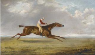 George Henry Laporte - Sam, a racehourse with jockey up