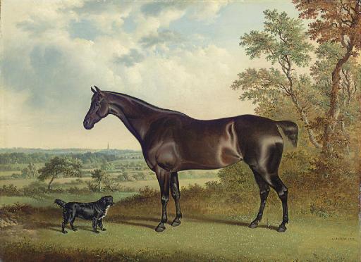 George Jackson - A Dark Brown Horse and a Spaniel in a Landscape