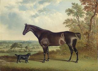 George Jackson - A Dark Brown Horse and a Spaniel in a Landscape