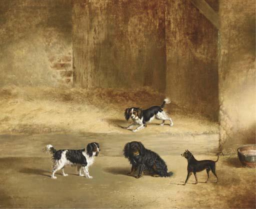 George Jackson - Dogs outside kennels