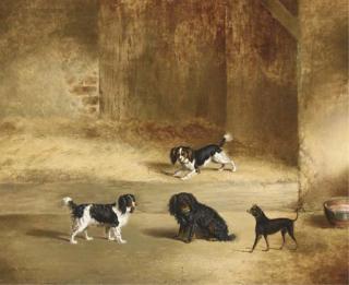 George Jackson - Dogs outside kennels