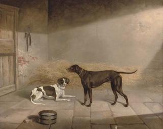 George Jackson - Favourite hounds