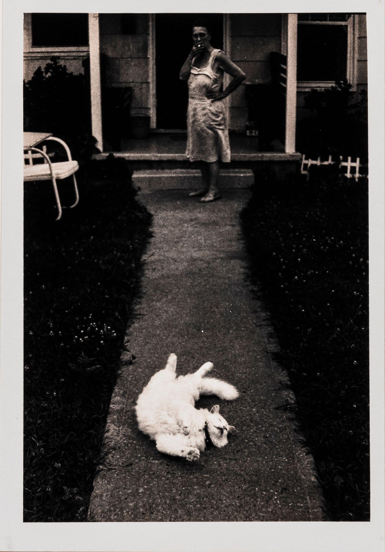 George Krause - Cat, Ocean City, Maryland