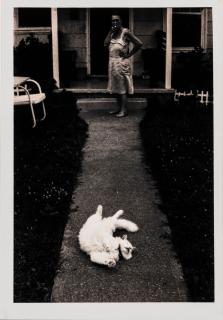 George Krause - Cat, Ocean City, Maryland