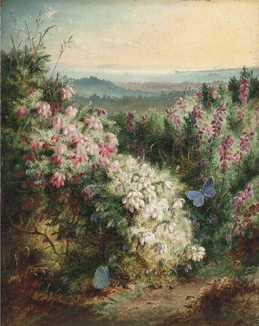 George Lucas - An extensive spring landscape with heather in bloom and butterflies