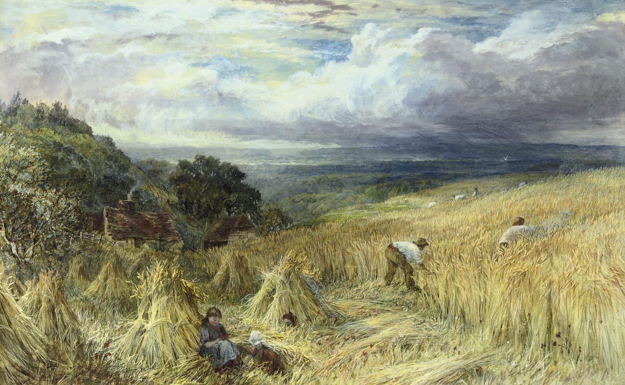 George Lucas - Harvest day