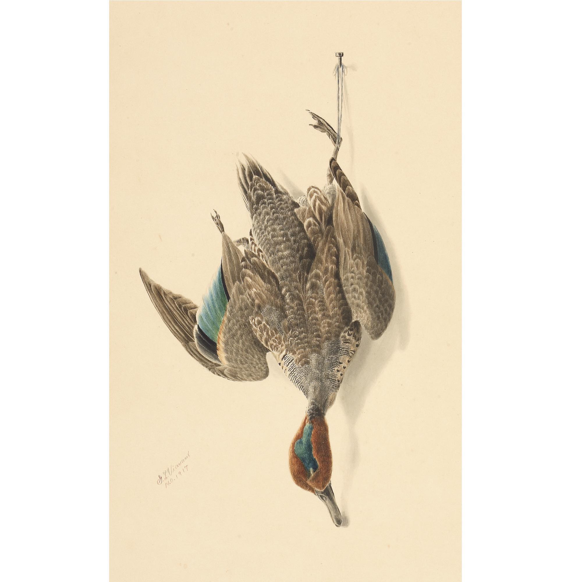 George Luis Viavant - American A Hanging Green Winged Teal