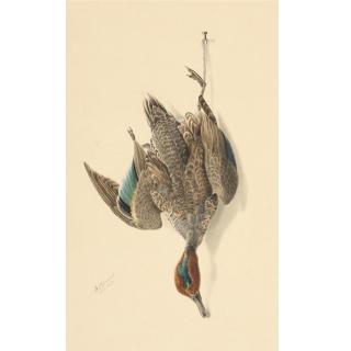 George Luis Viavant - American A Hanging Green Winged Teal