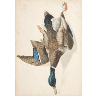 George Luis Viavant - American A Hanging Mallard Drake