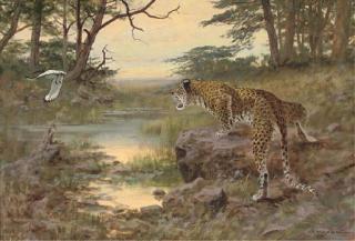 George Majewicz - A leopard chasing a heron