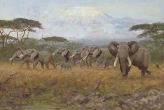 George Majewicz - Elephants before Kilimanjaro